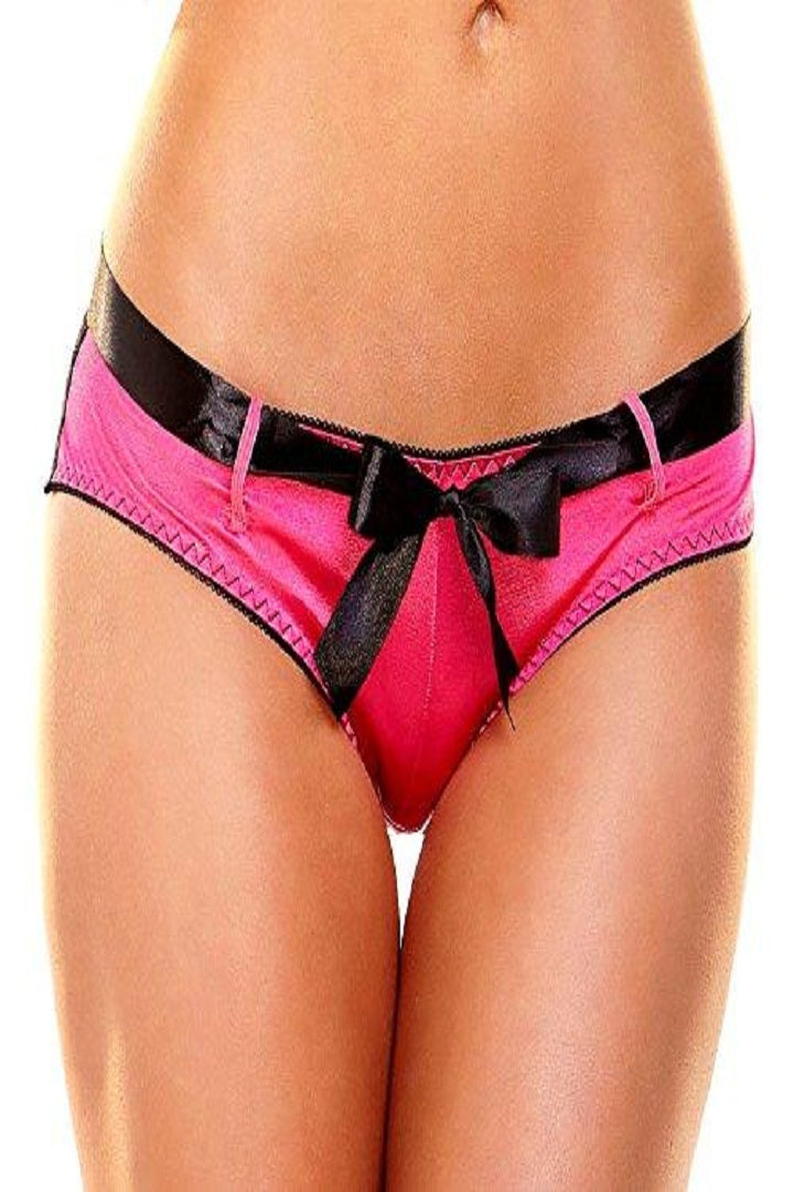 Hustler Satin & Net Full Back Panties
